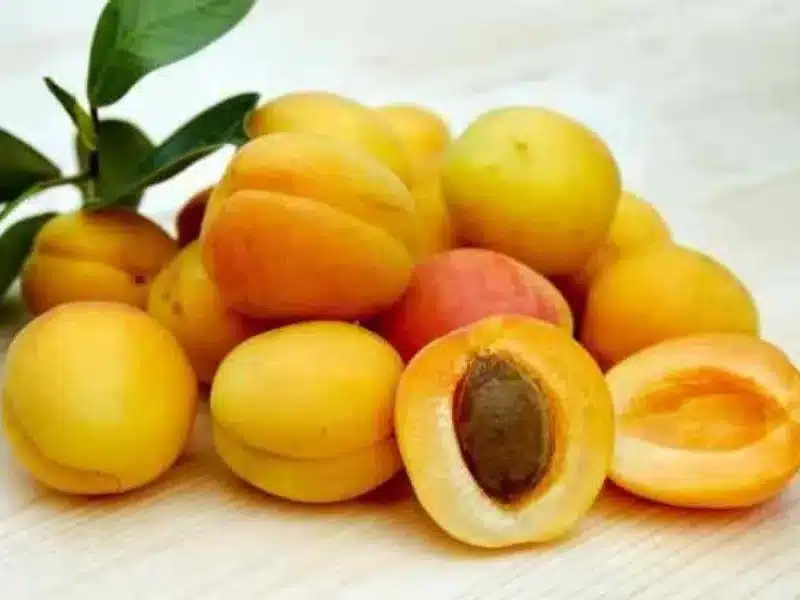 Khubani Fruit