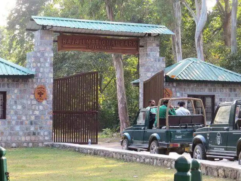 Rajaji National Park Ticket Price