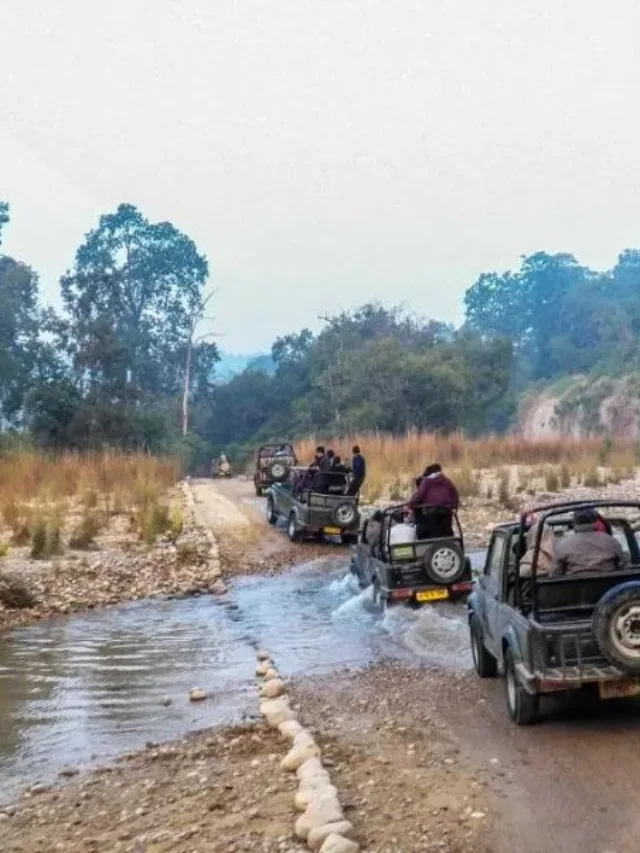 Jim Corbett National Park