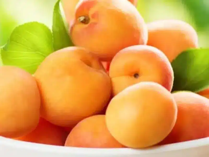 Khubani Fruit