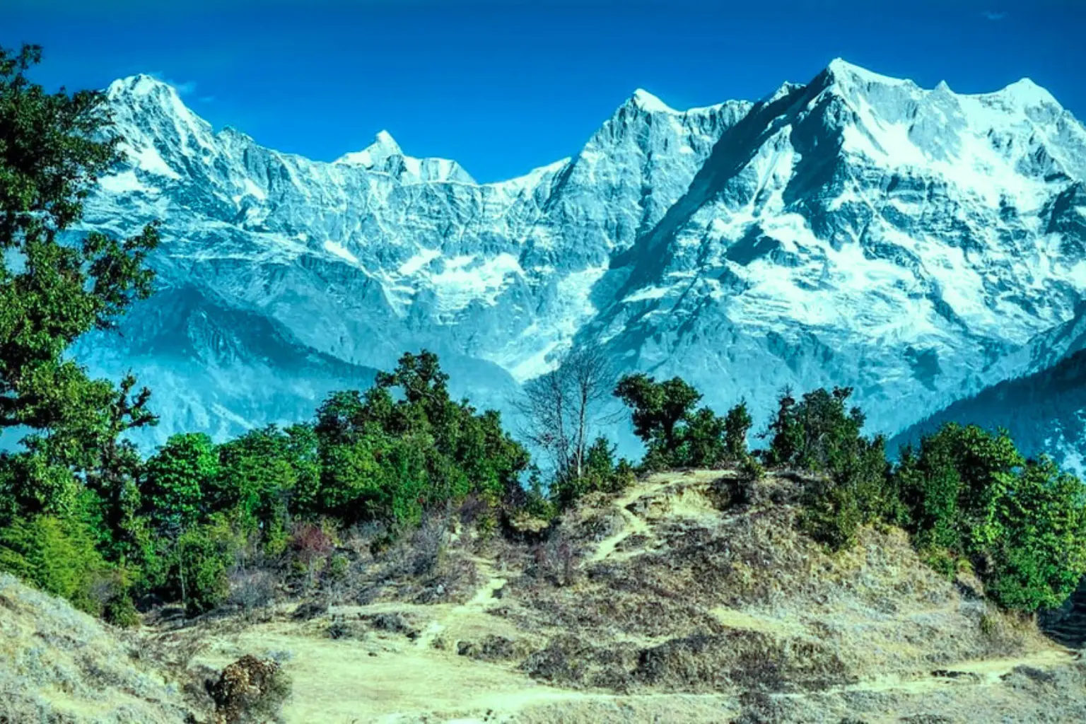 Gangotri Rashtriya Udyan