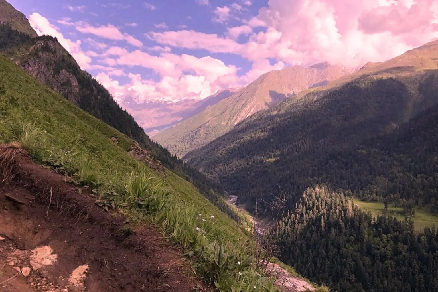 Govind Pashu Vihar National Park