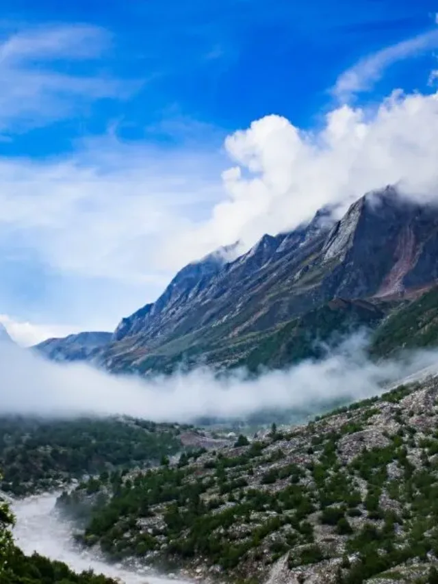 Gangotri National Park