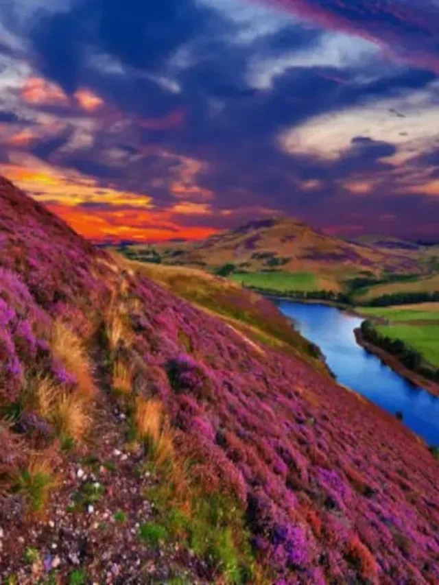 Valley of Flowers Best Time to Visit