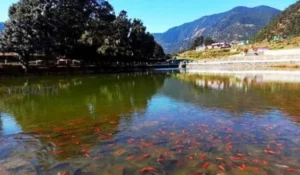 बधाणी ताल