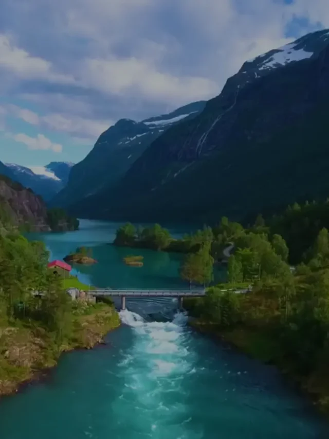 यमुना: प्रेम, भक्ति और शीतलता की धारा